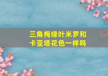 三角梅绿叶米罗和卡亚塔花色一样吗