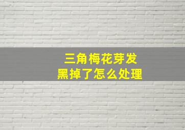 三角梅花芽发黑掉了怎么处理