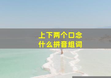 上下两个口念什么拼音组词