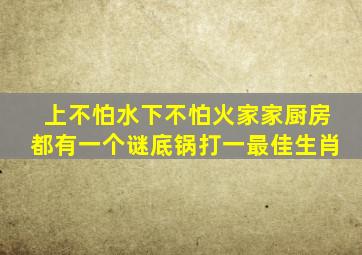 上不怕水下不怕火家家厨房都有一个谜底锅打一最佳生肖