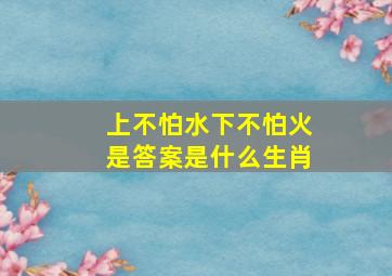 上不怕水下不怕火是答案是什么生肖