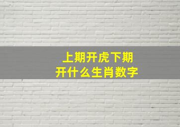 上期开虎下期开什么生肖数字