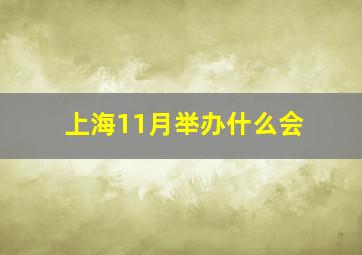 上海11月举办什么会