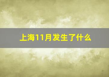 上海11月发生了什么