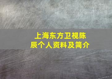 上海东方卫视陈辰个人资料及简介