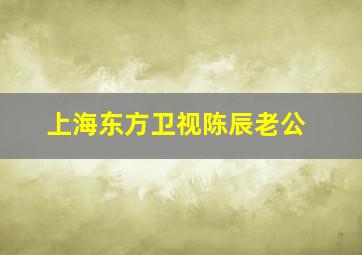 上海东方卫视陈辰老公