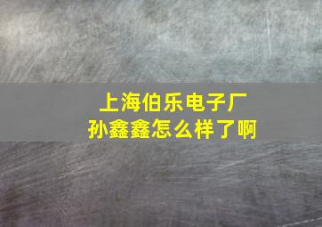 上海伯乐电子厂孙鑫鑫怎么样了啊