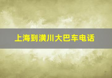 上海到潢川大巴车电话