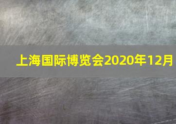 上海国际博览会2020年12月