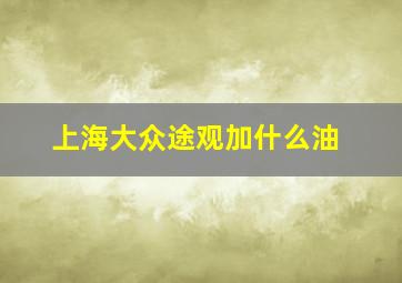 上海大众途观加什么油