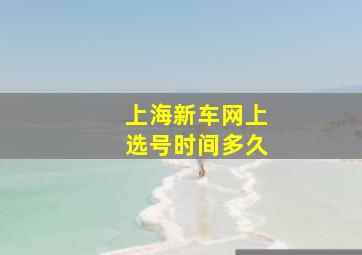 上海新车网上选号时间多久