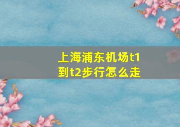 上海浦东机场t1到t2步行怎么走