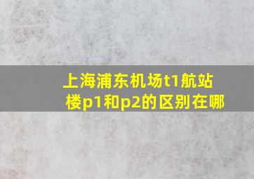 上海浦东机场t1航站楼p1和p2的区别在哪