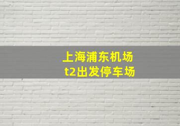 上海浦东机场t2出发停车场