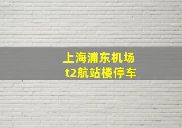 上海浦东机场t2航站楼停车