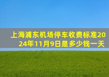 上海浦东机场停车收费标准2024年11月9日是多少钱一天