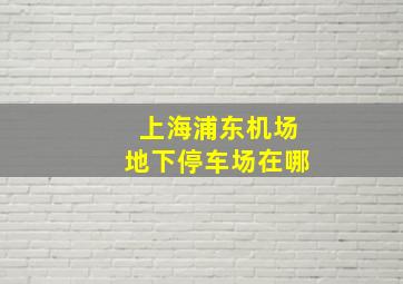 上海浦东机场地下停车场在哪