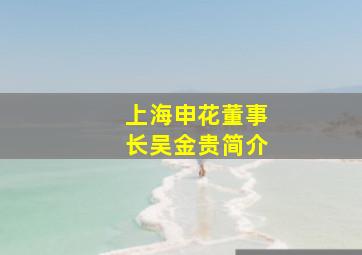 上海申花董事长吴金贵简介