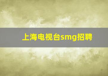 上海电视台smg招聘