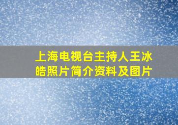 上海电视台主持人王冰皓照片简介资料及图片