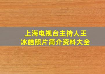 上海电视台主持人王冰皓照片简介资料大全