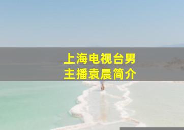 上海电视台男主播袁晨简介