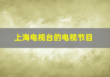 上海电视台的电视节目