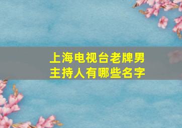 上海电视台老牌男主持人有哪些名字