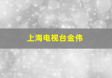 上海电视台金伟