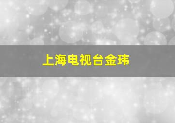 上海电视台金玮