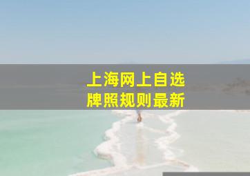 上海网上自选牌照规则最新