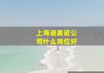 上海迪赛诺公司什么岗位好