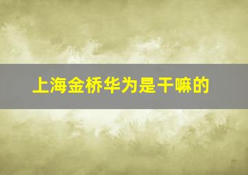 上海金桥华为是干嘛的