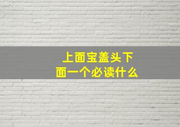 上面宝盖头下面一个必读什么