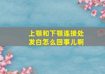 上颚和下颚连接处发白怎么回事儿啊