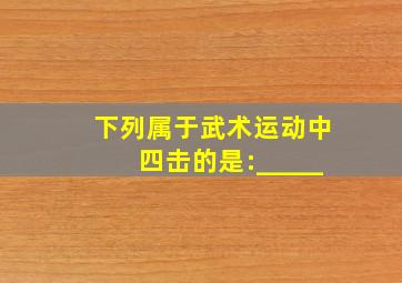 下列属于武术运动中四击的是:_____