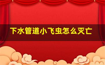 下水管道小飞虫怎么灭亡