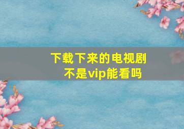 下载下来的电视剧不是vip能看吗