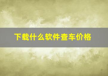 下载什么软件查车价格