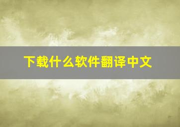 下载什么软件翻译中文