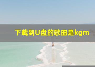 下载到U盘的歌曲是kgm