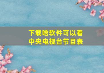 下载啥软件可以看中央电视台节目表