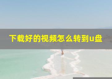 下载好的视频怎么转到u盘