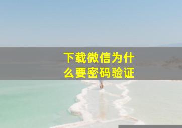 下载微信为什么要密码验证