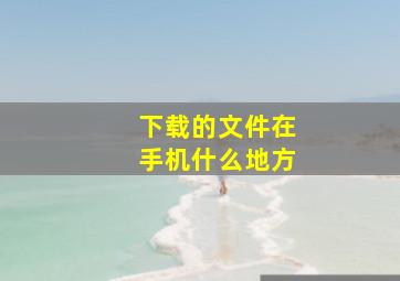 下载的文件在手机什么地方