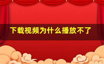 下载视频为什么播放不了