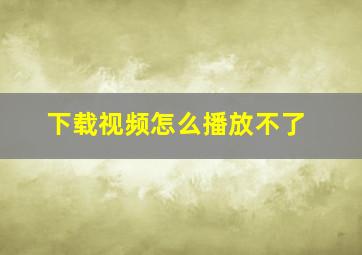 下载视频怎么播放不了