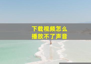 下载视频怎么播放不了声音