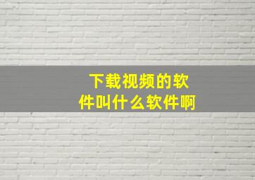 下载视频的软件叫什么软件啊