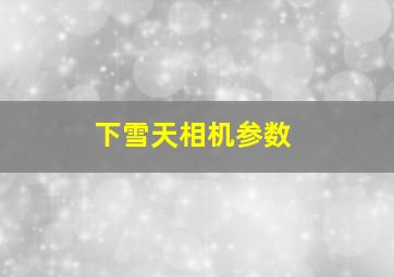 下雪天相机参数